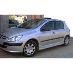 Купить Боковые пороги (под покраску) для Peugeot 307