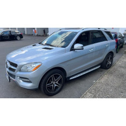 Купить Боковые пороги Оригинальный дизайн (2 шт., алюминий) для Mercedes GLE/ML сlass W166