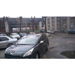 Купити Рейлінги Skyport Grey для Peugeot 3008 2008-2016 рр