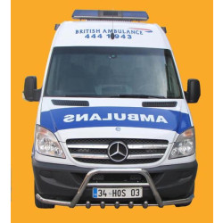 Купити Кенгурятник з вусами WT003-Plus (нерж.) для Mercedes Sprinter W906 2006-2018 рр