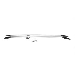 Купити Рейлінги Хром CAN Оригінальний дизайн (метал. ніжки) Коротка база (SHORT) для Mercedes Vito / V-class W447 2014- рр