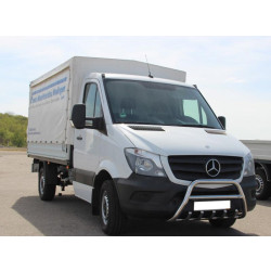 Купить Кенгурятник WT003 (нерж.) 60мм, без надписи для Mercedes Sprinter W906 2006-2018 гг