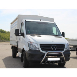 Купить Кенгурятник WT003 (нерж.) 60мм, без надписи для Mercedes Sprinter W906 2006-2018 гг