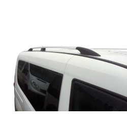 Купити Рейлінги Хром Максі, Чавунні ніжки для Opel Combo 2012-2018 рр