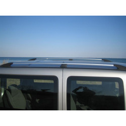 Купити Рейлінги Хром (пласт. ніжки) Максі база, пластикові ніжки для Fiat Doblo I 2005-2010 рр