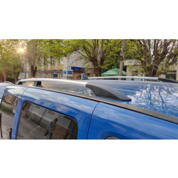 Купити Рейлінги Хром (пласт. ніжки) Максі база, металеві ніжки для Fiat Doblo I 2005-2010 рр