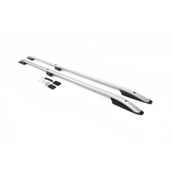 Купить Рейлинги Skyport (2 шт, серый мат) Короткая база для Ford Custom 2013-2022 гг