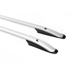 Купити Рейлінги Skyport (сірі) Довга база для Renault Trafic 2001-2015 рр