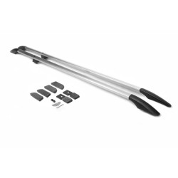 Купити Рейлінги Хром Довга база, пластикові ніжки для Fiat Talento 2016- рр