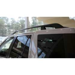 Купити Оригінальні рейлінги (2 шт) для Land Rover Freelander II