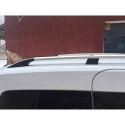 Купити Рейлінги Хром (Для Express ) Пластикова ніжка для Renault Kangoo/Express 2021- рр