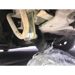 Купити Кенгурятник WT003-4 (нерж.) З написом для Renault Trafic 2001-2015 рр