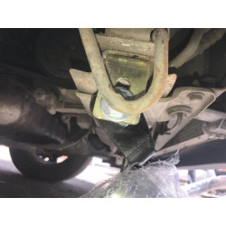 Купити Кенгурятник WT003-4 (нерж.) З написом для Renault Trafic 2001-2015 рр