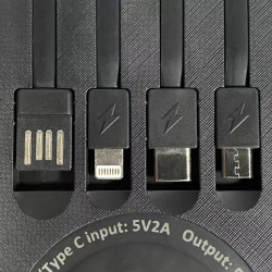 Buy 1000 mAh's Power with Council ProteS0 Protester