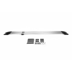 Купить Рейлинги Хром Короткая база, пластиковая ножка для Opel Zafira Life 2019- гг