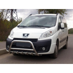 Купить Кенгурятник WT003/4 (нерж.) с надписью, 60 мм для Fiat Scudo 2007-2015 гг