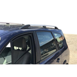 Купити Рейлінги Хром (2 шт) Довга база (Grande) для Renault Scenic/Grand 2003-2009 рр