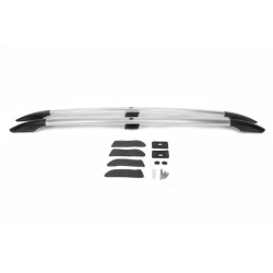 Купити Рейлінги Хром (2 шт) Коротка база для Renault Scenic/Grand 2003-2009 рр