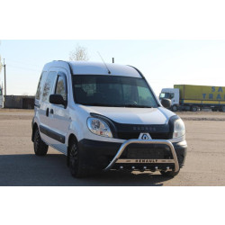 Купить Кенгурятник WT004 (нерж) для Renault Kangoo 1998-2008 гг