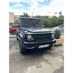 Купити Будиночок на передній бампер (G65) для Mercedes G сlass W463 1990-2018рр