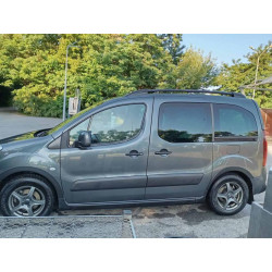 Купити Накладки на арки (4 шт, чорні) XTR, 2 бокові двері, пластик для Peugeot Partner Tepee 2008-2018 рр