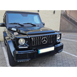 Купить Передняя решетка (GT, с хром полосками) Белая с хром полосками для Mercedes G сlass W463 1990-2018 гг