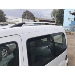 Купити Рейлінги Хром Максі база, Пластикові ніжки для Renault Kangoo 1998-2008 рр