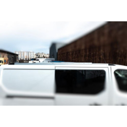 Купить Интегрированные рейлинги (хром) Длинная база для Nissan NV300/Primastar 2016-гг