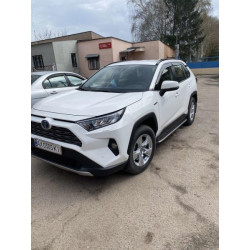 Купити Бокові пороги OEM V1A (2 шт, алюміній) для Toyota Rav 4 2019- рр