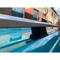 Купити Рейлінги Хром DDU (пласт. ніжки) Довга база (EXTRALONG) для Mercedes Vito / V-class W447 2014- рр