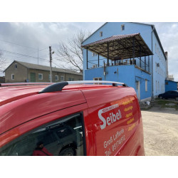 Купити рейлінги Хром Стандартна, пластикові ніжки для Ford Connect 2014-2021 рр