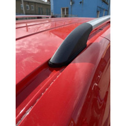 Купить Рейлинги Хром Макси база, металлические ножки для Ford Connect 2014-2021 гг