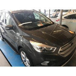 Купить Боковые пороги Bosphorus Grey (2 шт., алюминий) С черной листвой на дверях для Ford Kuga/Escape 2013-2019 гг