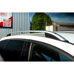 Купить Рейлинги Skyport (серые) для Ford Kuga/Escape 2013-2019 гг