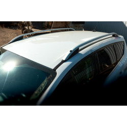 Купить Рейлинги Skyport (серые) для Ford Kuga/Escape 2013-2019 гг