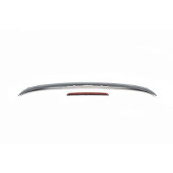 Купить Спойлер Libao (ABS-пластик) для Mercedes C-сlass W205 2014-2021 гг