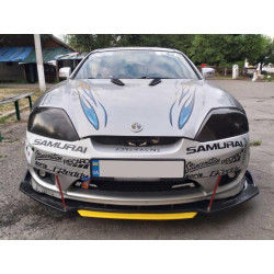 Купить Накладка на капот тип-A (2 шт, ABS)