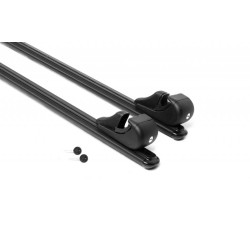 Купити Перемички на звичайні рейлінги під ключ Bold Bar Lite V1 (2 шт) Чорні для Ford Maverick 2000-2007 рр