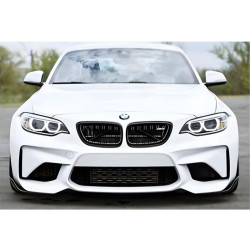 Купити Універсальна передня Flap накладка DPT V-1 (ABS) (2шт) (чорний глянець)