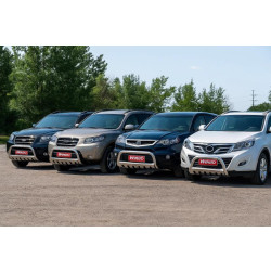 Купити Універсальний Кенгурятник Winbo (нерж.)