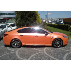 Купить Боковые пороги DPT V-2 (под покраску) для Opel Insignia 2008-2017 гг