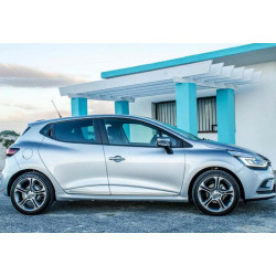Купить Боковые пороги DPT V-1 (Под покраску) для Renault Clio IV 2012-2019 гг