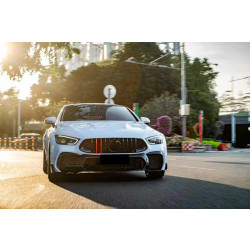 Купити Передня решітка GT Panamericana GT-R (2018-2022) для Mercedes AMG GT 4 X290