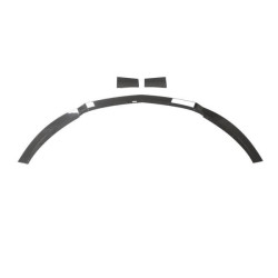 Купити Накладка на передній бампер Lip (Карбон) для Nissan 400Z