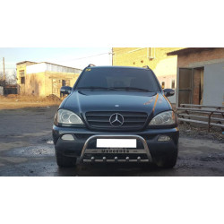 Купить Кенгурятник WT004 (нерж.) для Mercedes ML W163