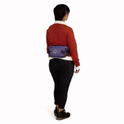 Купити Поясна сумка Osprey Transporter Waist Pack