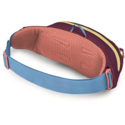 Купити Поясна сумка Osprey Daylite Waist