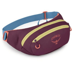Купити Поясна сумка Osprey Daylite Waist
