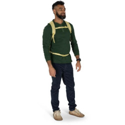 Купити Рюкзак Osprey Daylite Plus