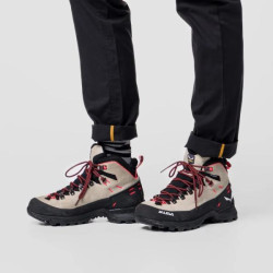 Купить Черевики Salewa WS ALP Mate Winter MID WP